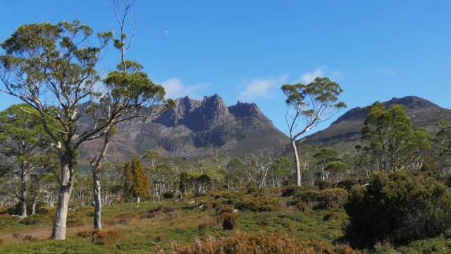 the view of mt ossa, tasmania's highest mountain, from the overland track in the cradle mountain lake st clair national park