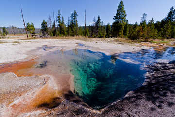 Yellowstone Nationalpark, USA
