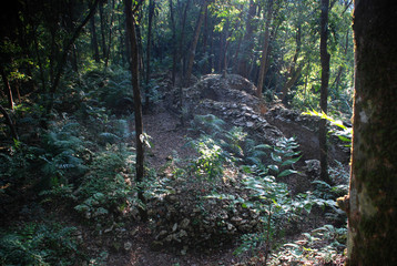Piedras negras in Chiapas