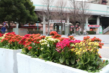 埼玉　武蔵浦和駅前