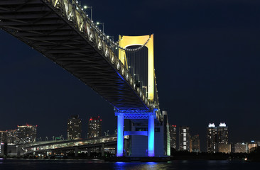 日本の東京都市景観「江東区などの夜景を望む」