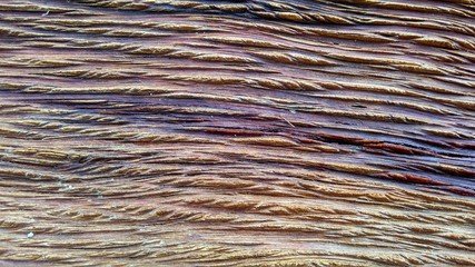 wood texture for background