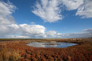 Wolken am Himmel über dem Langwarder Groden