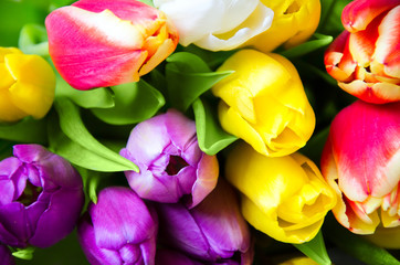 festive bouquet of colorful tulips close up