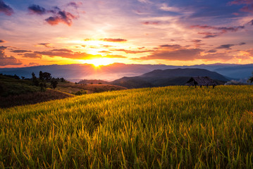 Terraced Paddy Field in Mae-Jam Village , Chaingmai Province , Thailand