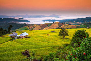 Obraz premium Terraced Paddy Field in Mae-Jam Village , Chaingmai Province , Thailand