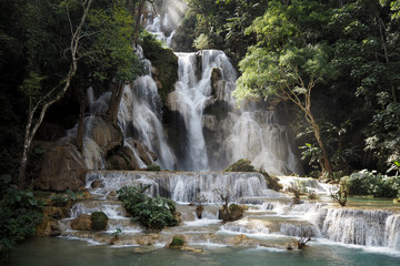 Fototapeta na wymiar Tat Kuang Si Waterfalls luang prabang in Lao
