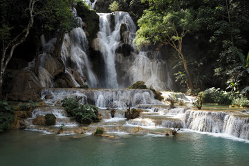 Fototapeta na wymiar Tat Kuang Si Waterfalls luang prabang in Lao