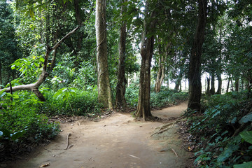 Obraz premium trekking way is good for travel