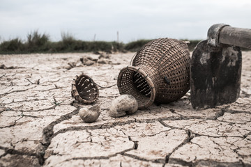 The cracked dry ground because of drought, Concept drought and crisis environment.