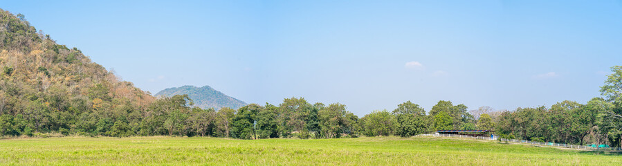 Panoramic landscape view of green fields