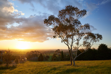 Fototapeta na wymiar Kangaroo Ground Sunset