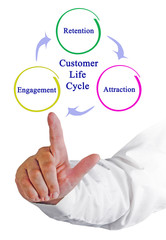 Diagram of Customer Life Cycle