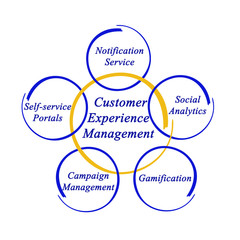 Customer Experience Management