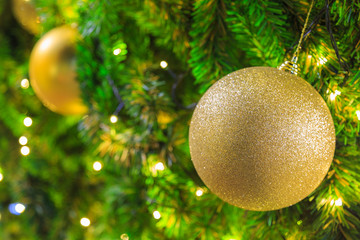 Golden shiny balls hanging on Christmas tree.