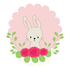 cute rabbit vector