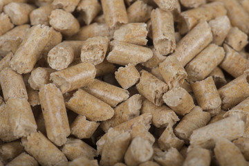 Wood pellets macro studio shot