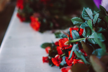 fresh cut red roses lie on the table
