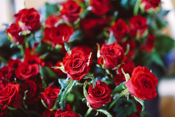fresh cut red roses lie on the table
