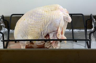 Bone in turkey breast brushed with olive oil in roasting rack inside pan lined with aluminum foil as meal solution for small family or couple © merrimonc