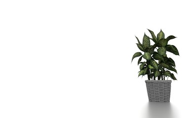 Green plants in white background. 3d rendering