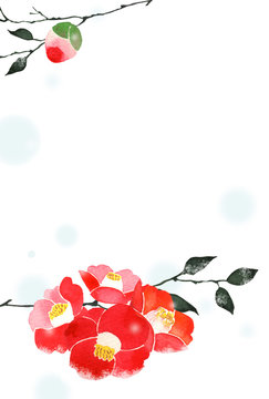 椿 背景 フレーム 寒中見舞い 水彩 イラスト Stock Illustration Adobe Stock