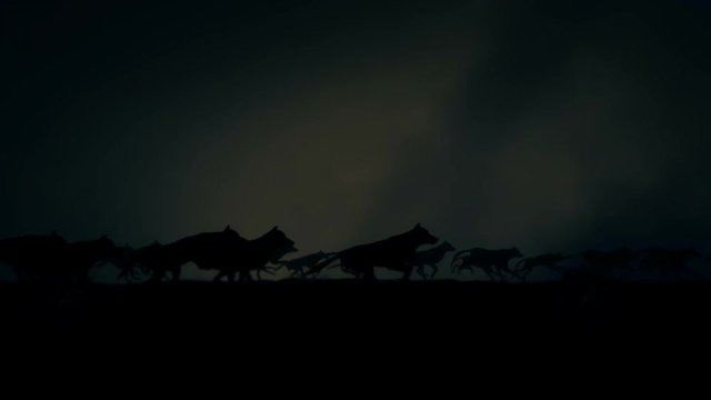 Big Pack of Wolves Running Through a Lightning Storm