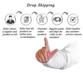 Dropshipping process :seller and producer