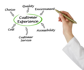What Influence Customer Experience