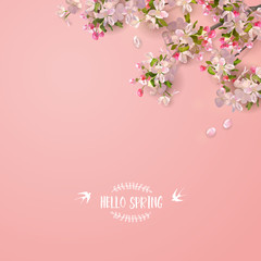 Fototapeta premium Spring Cherry Blossom
