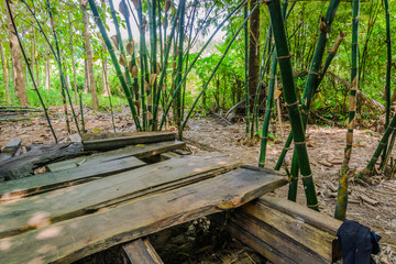 Obraz premium the backyard countryside in thailand