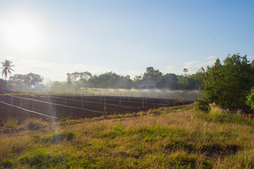 Sprinkler irrigation Watering in the evening