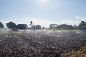 Sprinkler irrigation Watering in the evening
