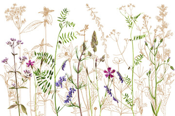 Naklejki  akwarela rysowanie kwiatów i roślin