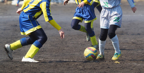 Naklejka premium サッカー フットボール