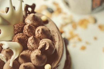 chocolate cake on the white plate with a cup of coffee, food macro photography decoration concept for new year party.