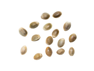 Close up of some hemp seed spread out on white background seen from above