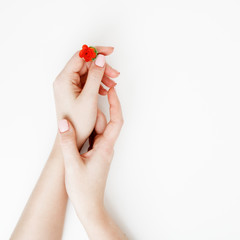 Small bouquet of red roses in a woman's hand with pink nail polish on a white background. Flat lay. Top view