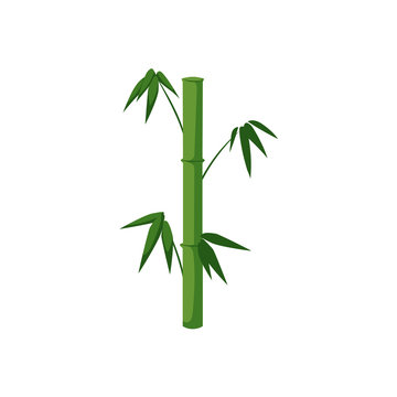 vector flat cartoon style japan symbols concept. Green Bamboo stems sticks with green leaves icon image. Isolated illustration on a white background.