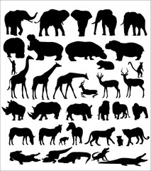Set of African animals on white background