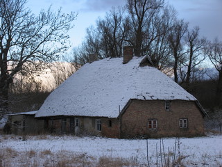 Winter auf Rügen