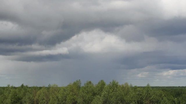 Forest and rain clouds. Time lapse