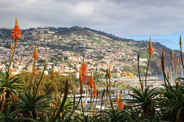 Funchal