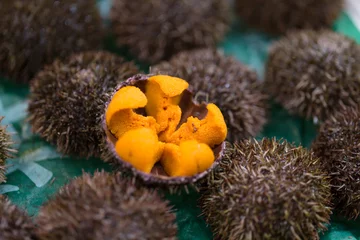 Gordijnen Uni Urchin Sashimi fresh seafood from Japan © Quality Stock Arts
