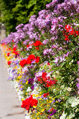 Blumenrabatte