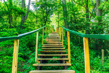 Large wooden staircase with handrails in a summer park