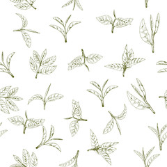 seamless pattern with green tea, hand-drawn leaves and branches of tea