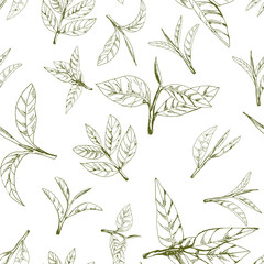 seamless pattern with green tea, hand-drawn leaves and branches of tea - 185989717