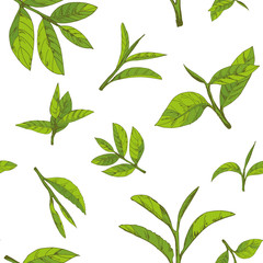 seamless pattern with green tea, hand-drawn leaves and branches of tea