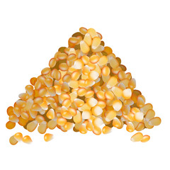 Corn seeds pile side view on white background
